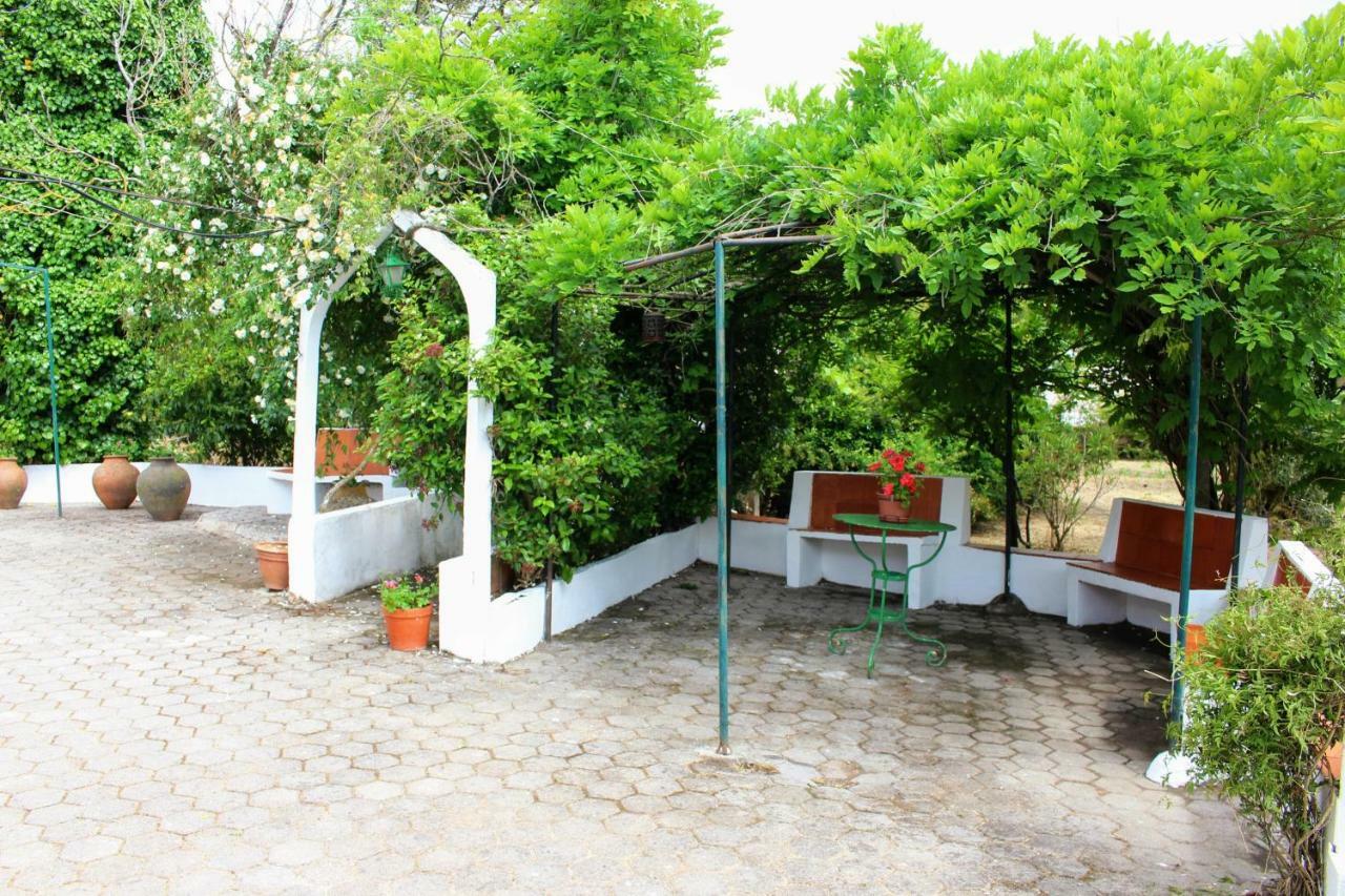 Quinta Da Ti Julia Villa Tomar Buitenkant foto